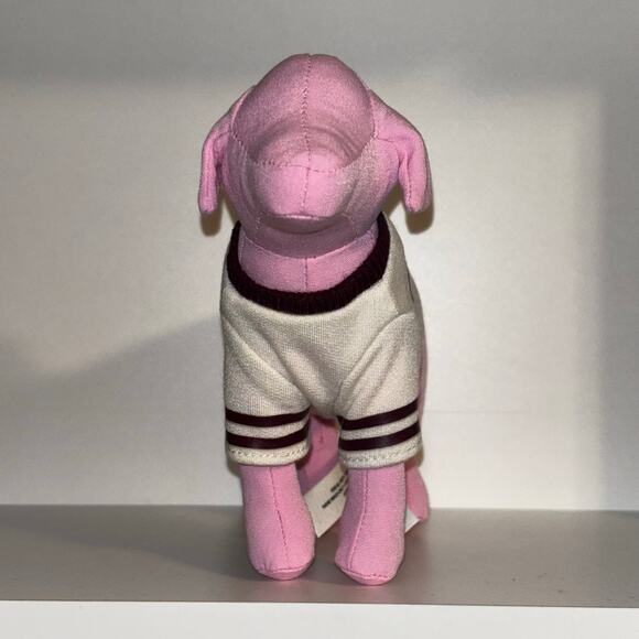 Victoria’s Secret PINK PINK Friday Mini Dog Limited Edition - Picture 11 of 12